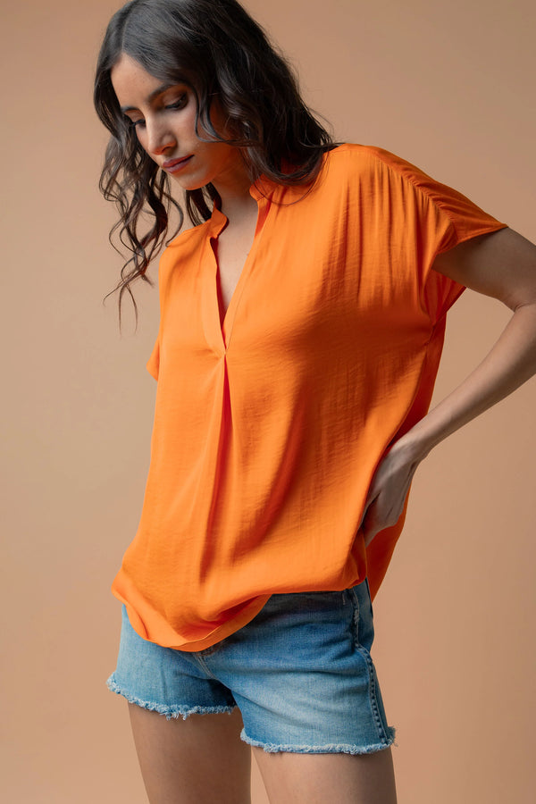 Naked Zebra| Satin Blouse